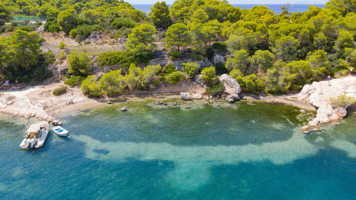 La baia di Zogeria con la pineta che arriva sul mare, Spetses