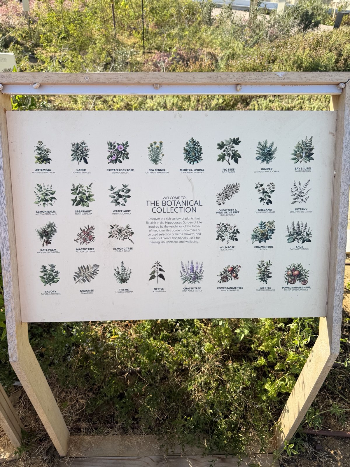Il cartello del giardino botanico Hippocrates Garden of Life a Ikos Aria
